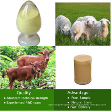 Tierarzneimittel China Versorgung CAS: 43210-67-9 Fenbendazol